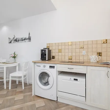 Studio With Mezzanine Near City Centre By Renters *